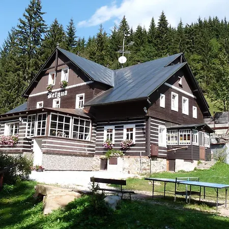 Guest house Betyna 3*